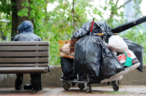  Edmonton Journal | Click Pic to Learn More